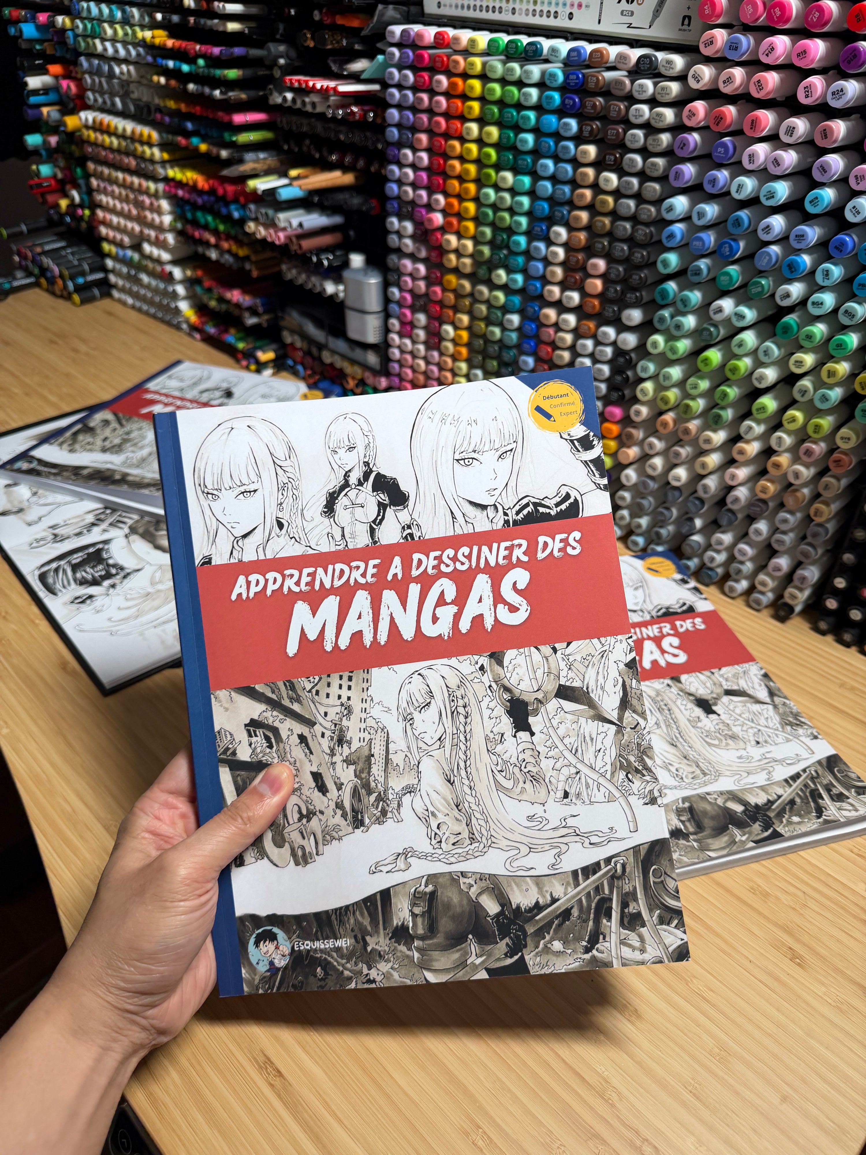 Manuel de dessin manga débutant + formation à distance